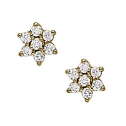 EARRINGS CLUSTER