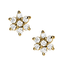 EARRINGS CLUSTER