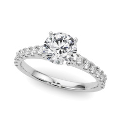 REMOUNT RING