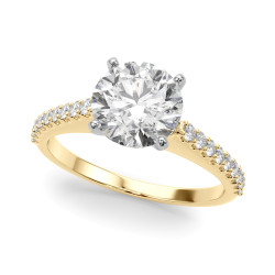 REMOUNT RING