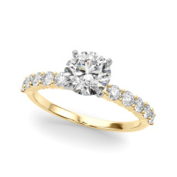REMOUNT RING