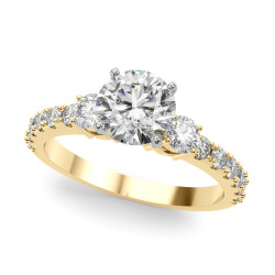 REMOUNT RING