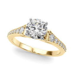 REMOUNT RING