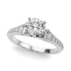 REMOUNT RING