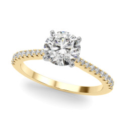 REMOUNT RING