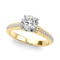 REMOUNT RING