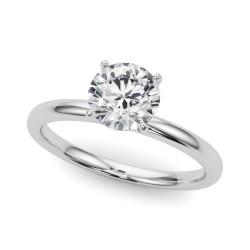 REMOUNT RING